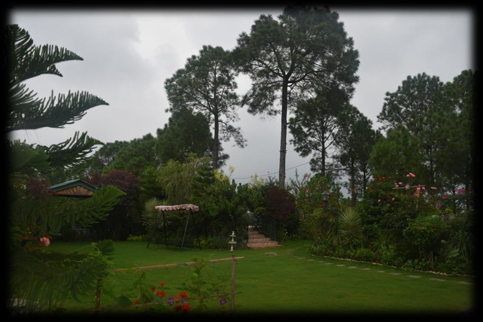 Dharampur Mistair - garden For booking or enquiry please contact