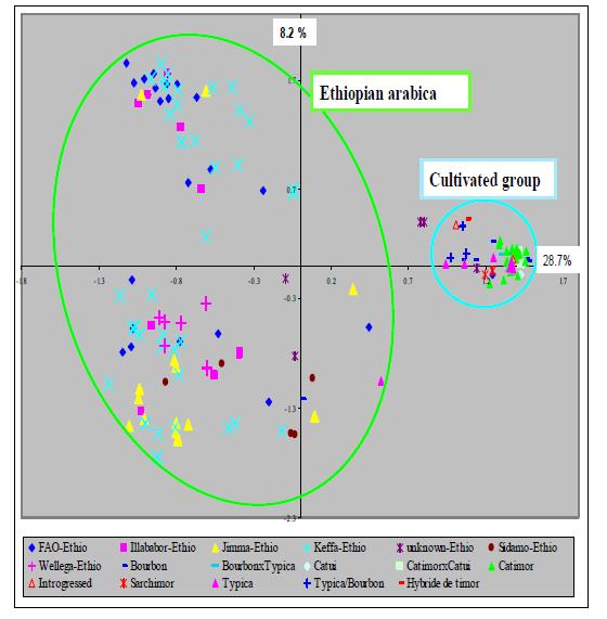 similar PCA Analysis similar Cultivated = 53% of wild alleles found Figure 1.