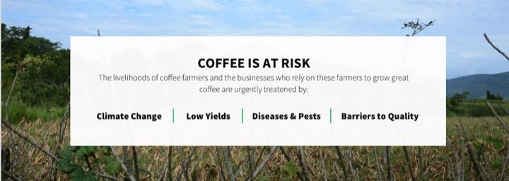 Use science to address threats to coffee