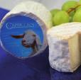 9002 v Somerset Goats Portions Capricorn 1x100g As it says on the label, a goats milk