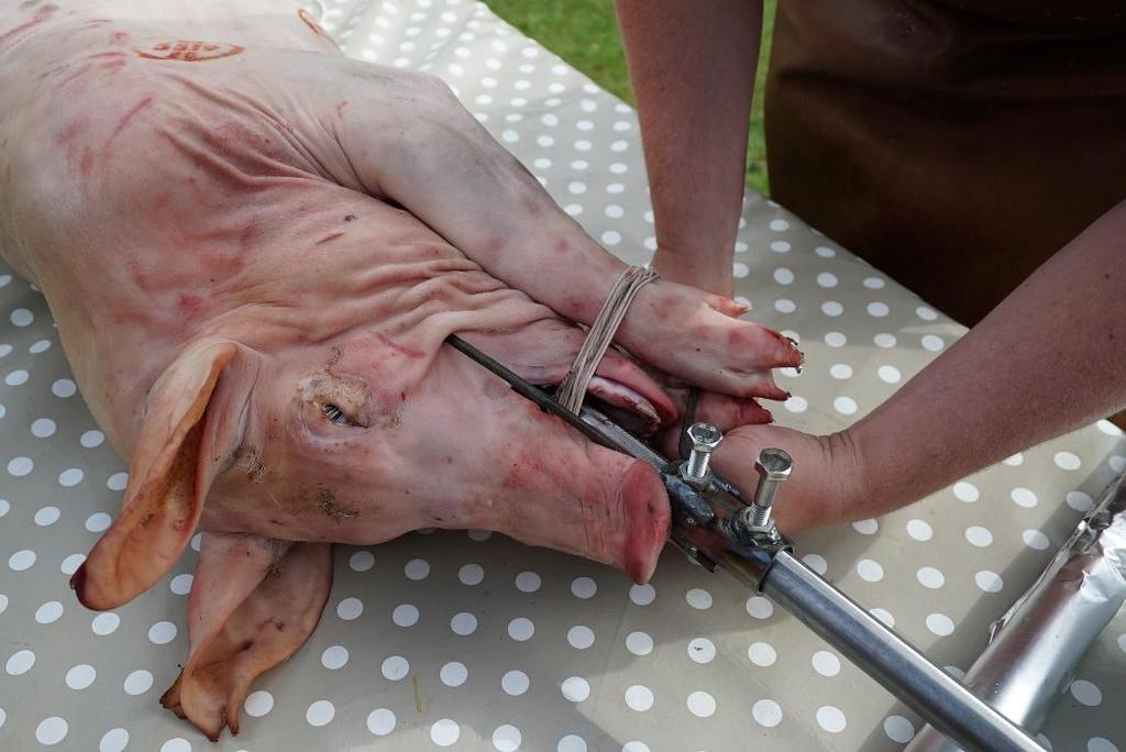 Secure the pig more, by tying it to the spit and prongs.