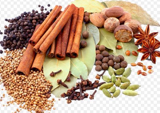 Spices Plants & Trees Bark Roots Seeds Fruit Forms