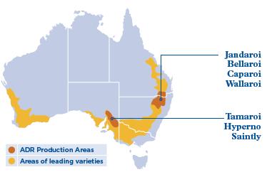 Australian Durum wheat (ADR) production DBA is the sole provider of new durum varieties in Australia.