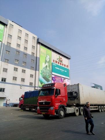 District in Guangzhou, Jiangnan Fresh Fruit and Vegetable Wholesale Market is