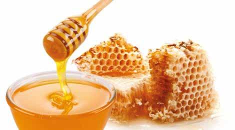 HONEY Food and Agriculture