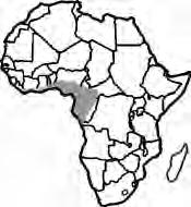 124 LOST CROPS OF AFRICA Throughout a giant triangle from Senegal to Uganda to Angola dika is a part of the daily fare.