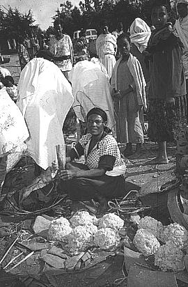 182 LOST CROPS OF AFRICA A woman selling kocho at a local market. Note that enset leaves are used like plates or mats on which to display the product.