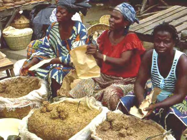 212 LOST CROPS OF AFRICA Dantokpa market, Cotonou, Benin. Mustard made from seeds of the savanna tree commonly called locust in English is essential for making nutritious soup.