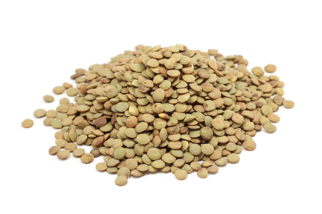 LENTILS HEALTHY: Lentils are a good source of potassium, calcium, zinc, niacin and vitamin K, but are particularly rich in dietary fiber, lean protein, folate and iron.