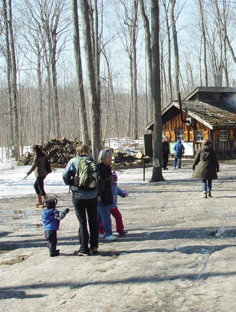 Maple syrup festivals signal the end of winter and the beginning of spring.