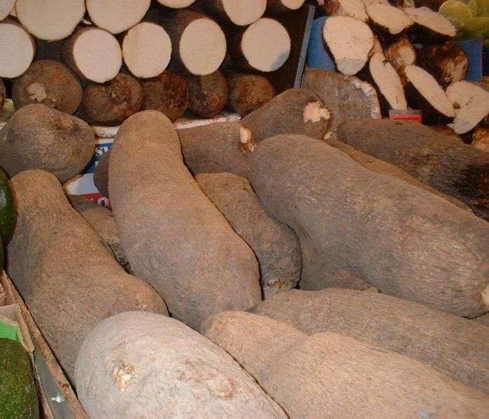 Yam in