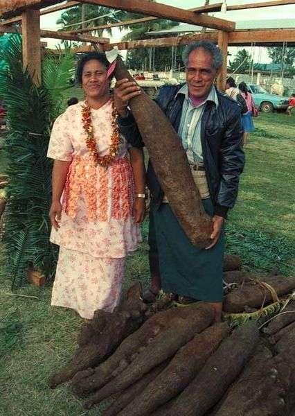 Tongan farmer
