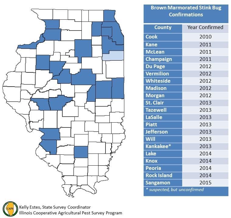 BMSB confirmed occurrence in IL, through 2015 Confirmed in 19 counties (+1 from 2014) Highest near Chicago & St Louis Some fruit