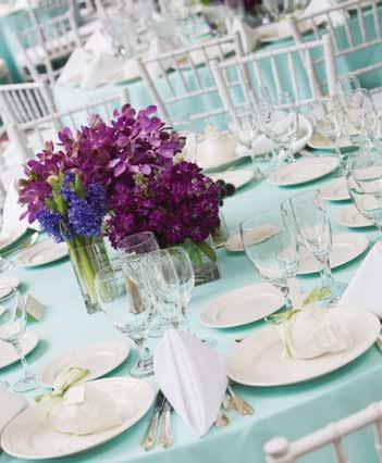 wedding packages Talk to us for more information about our seasonally priced packages.