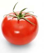 0 Quality of Tomatoes Types and varieties