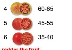 Greenhouse rounds Initial color = mg/g lycopene + days 0C to complete ripening = mg/g lycopene Lycopene, mg/g FW 0 0 0 C (F) 7.C (F) 0C (0F).