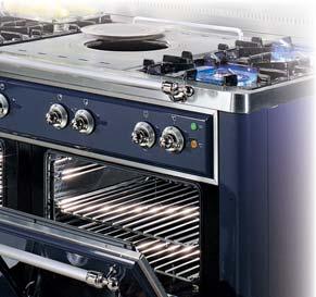 multifunction or convection gas version.