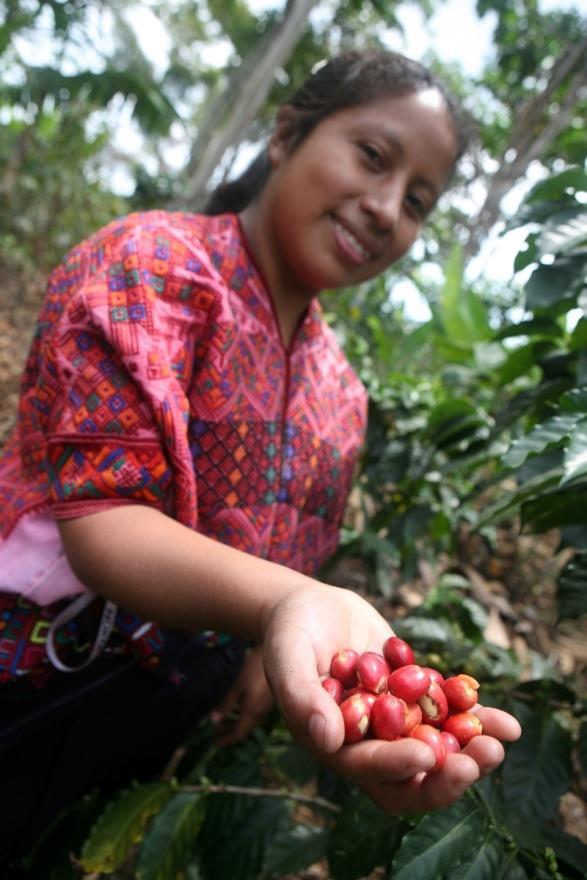 Farmers and workers win Fairtrade helps workers and farmers to earn a decent living Fairtrade producers receive a Fairtrade Premium, additional funds for community or business development The