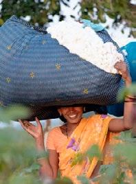 46 PRODUCER REPORT Raising incomes and improving lives in India Chetna Organic Agriculture Producer Company Ltd (COAPCL) supports more than 15,000 cotton farmers in around 400 villages across the