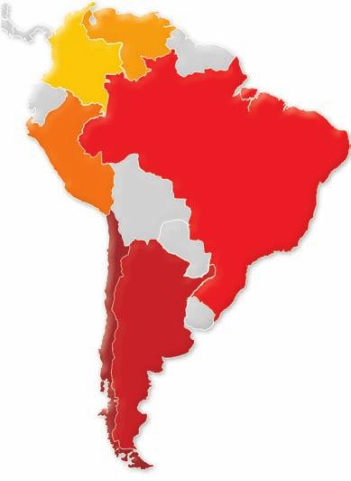 South America South America 21 16 35 4 38 25 4 BRAZIL 25 ARGENTINA POP 186,4 PROD 90* PCC 48 MS 90% POP 38,7 PROD