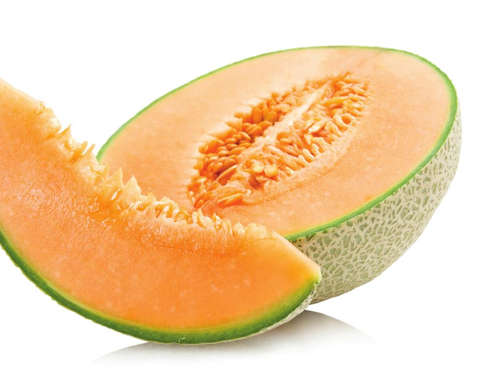 The fruit have a rounded oval shape, dry cavity, excellent firmness and uniformity. The melons have a well-covered net with dark orange internal flesh and good sugars.