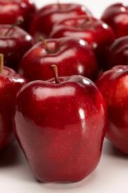 Apple Fruit Volatiles