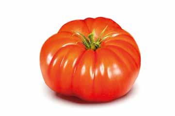ribbed tomato with a slightly