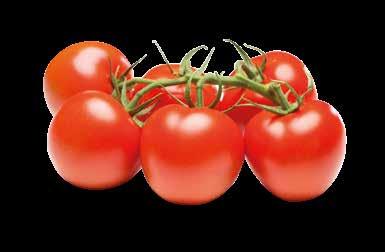 RONDE THE ROUND TOMATO Our classic