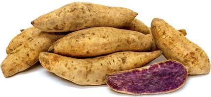 Starchy Tubers, Rhizomes and Roots The common potato, Solanum tuberosum consists of two subspecies: -S. tuberosum subsp.