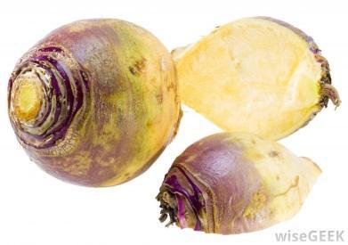 Biennial Root Crops Rutabagas or Swedish turnips, Brassica napus, are actually more nutritious than