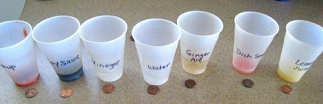 Penny Science Clear cups Lemon juice, water, soy sauce, dish soap, vinegar, ginger ale, ketchup Pennies Marker Gather all materials Pour some of each liquid into separate cups Label each cup Discuss
