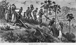 Slave Trade The arrival of slaves in the Americas contributed to the development of strict race based social hierarchies that led to the