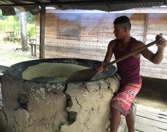 Since it is often considered a poor people s food, many haven t paid attention to it. So, how do you make manioc flour? The men uproot each manioc plant with a firm tug.