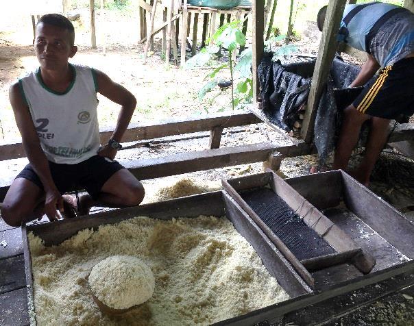 They feed the manioc through a grinder which turns it into a wet pulp.
