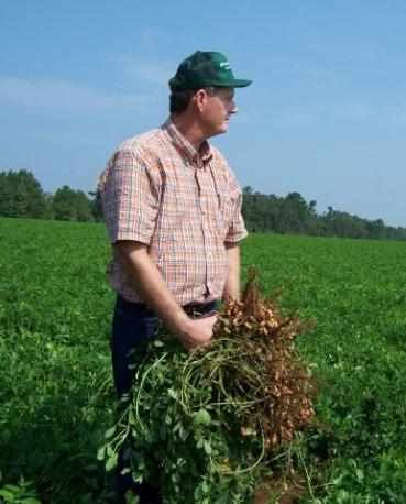 Alabama Peanut Producers Turning Resources into Results since 1958 Committed to representing the interests of growers through promotions,