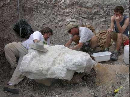 Paleontologists Study fossils- Evidence of early life preserved in