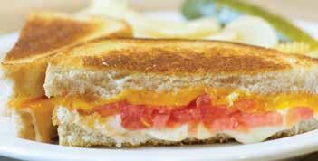 Monterey Jack and cheddar cheese with sliced tomato all pressed between two pieces of grilled sourdough Bistro Your choice of White American, Sharp Cheddar, Provolone, Monterey Jack, Feta,