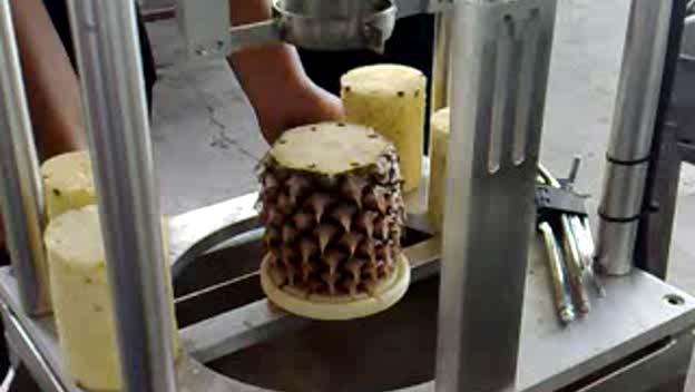 needed for quality improvement of fresh-cut pineapple.