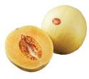 Honeydew and Orange Flesh Melons Maturity and Ripeness Classes Class 0: