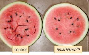 temperatures Watermelon clear benefit as fruit