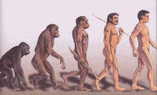 Hominids and Early Humans Homo habilis handy man Became more like humans over time Found in 1960s by Louis Leakey Closely related to humans Homo erectus upright man Scientists