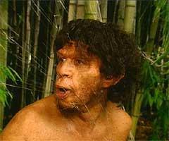 In Asia, Homo erectus lived in the bamboo forests and may have made tools such as staffs and spears