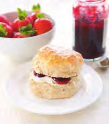Units: 80 Weight: 75g 2 hours / 19-23 C 2401 Wholemeal Scone A