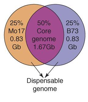 The pan-genome concept CORE GENOME Tettelin et al.