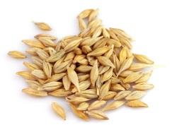 flax and barley chikpea