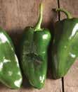 GHOST Bhut Jolokia - One of the hottest peppers in the
