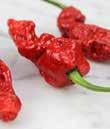Parker. CHERRY HOT cherry shaped hot peppers.