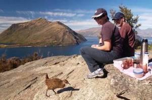 A fishing tour with Adventure Wanaka Glacier climbing with Aspiring Guides Lake cruise and an island walk tour with Eco Wanaka Adventures 4WD nature safari s with