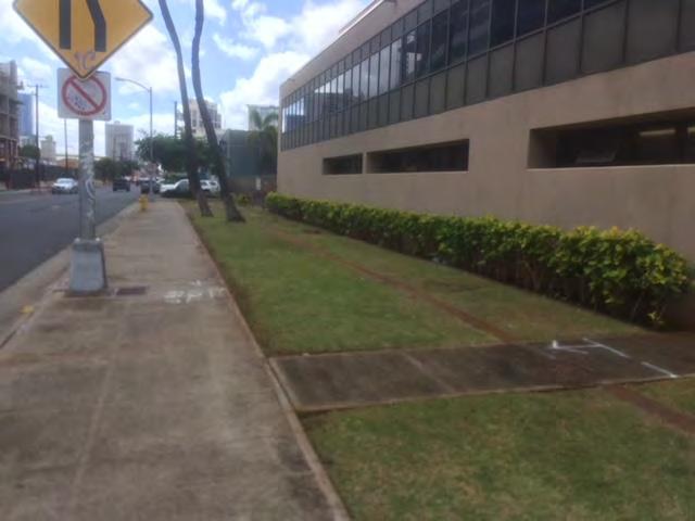 Station located in the grass adjacent to the sidewalk on the mauka side of Queen street ewa from Kamakee 40 13 Station adjacent to sidewalk Station 5 from tree roots Location: mauka side of Queen