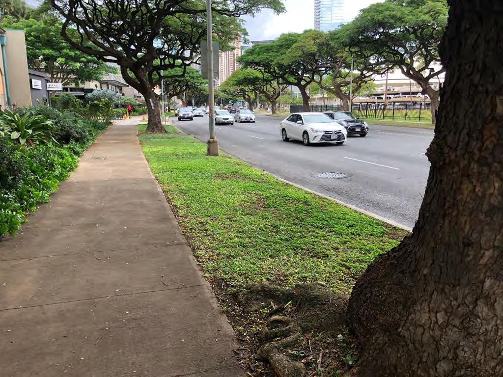Station located in the grass adjacent to the sidewalk on the makai side of Kapiolani Boulevard ewa from Kamakee Street Driveway for access to/from the street Station 5 from tree roots 7 60 10 Station